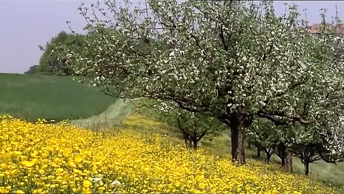 Celý Film O Skupine Mladých Dievčat, Ktoré Sa Masturbujú