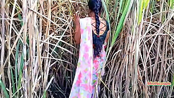 Horny Indian Aunty Gets Fucked In Sugarcane Field