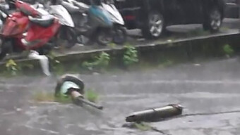 Teman Polio Yang Cantik