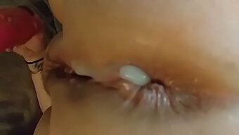 A Collection Of Amateur Anal Creampies