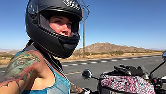 Felicity Feline'S Adventure On A Motorcycle