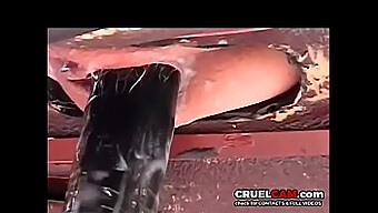 Extrema Experiencia Anal Definitiva - Www.Cruelcam.Com