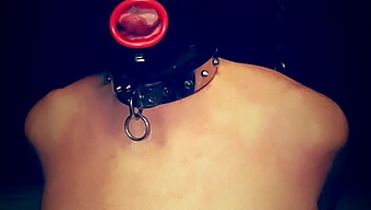 Bitch In A Mask: A Bondage Session In Femdom