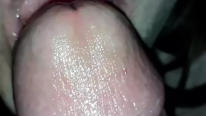 Esposa Me Chupa La Polla En Este Video Porno Del 2019