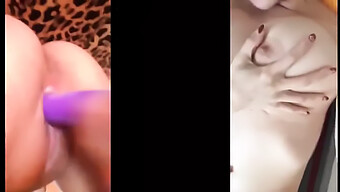 Chicas Solitarias Y Lesbianas En Una Compilación De Escenas De Pantalla Dividida